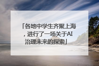各地中学生齐聚上海，进行了一场关于AI治理未来的探索