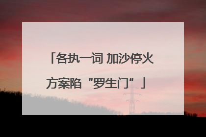 各执一词 加沙停火方案陷“罗生门”