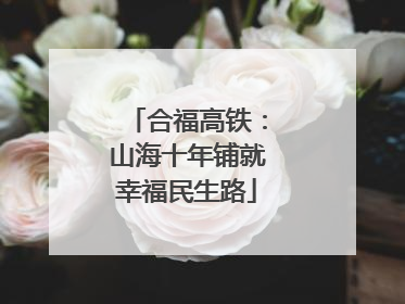 合福高铁：山海十年铺就幸福民生路