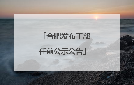 合肥发布干部任前公示公告