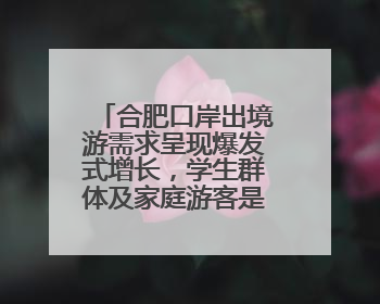 合肥口岸出境游需求呈现爆发式增长，学生群体及家庭游客是主力军