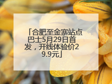 合肥至金寨站点巴士5月29日首发，开线体验价29.9元
