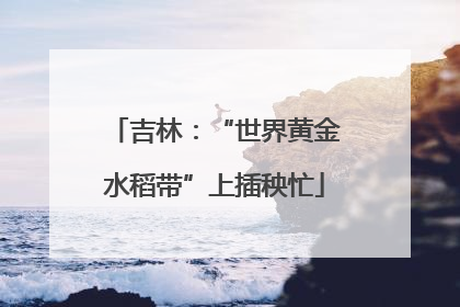 吉林：“世界黄金水稻带”上插秧忙