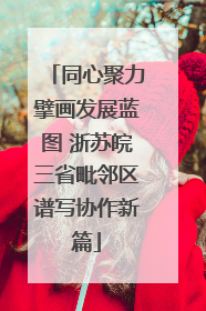 同心聚力擘画发展蓝图 浙苏皖三省毗邻区谱写协作新篇