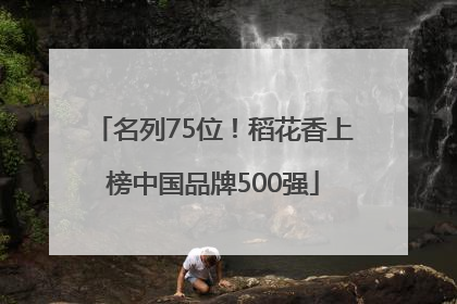 名列75位！稻花香上榜中国品牌500强