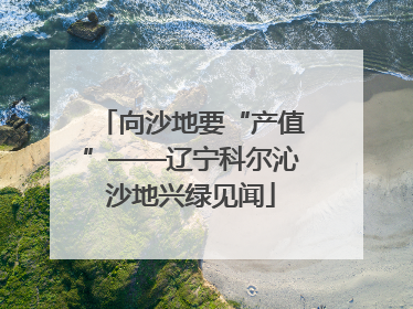 向沙地要“产值”——辽宁科尔沁沙地兴绿见闻