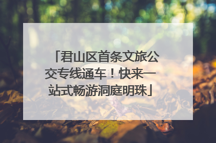 君山区首条文旅公交专线通车！快来一站式畅游洞庭明珠