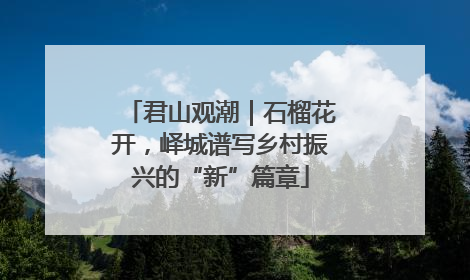 君山观潮｜石榴花开，峄城谱写乡村振兴的“新”篇章
