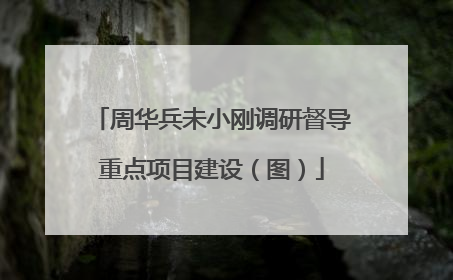 周华兵未小刚调研督导重点项目建设（图）