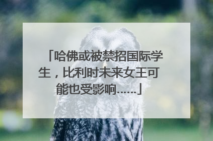 哈佛或被禁招国际学生，比利时未来女王可能也受影响……