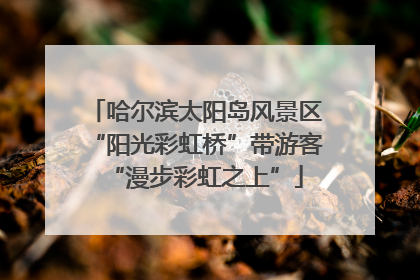 哈尔滨太阳岛风景区“阳光彩虹桥”带游客“漫步彩虹之上”