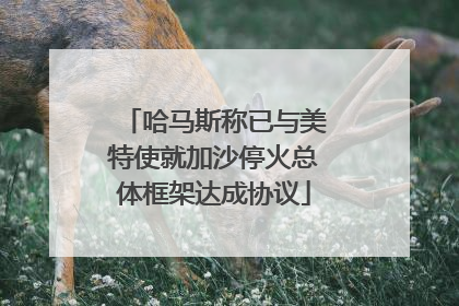 哈马斯称已与美特使就加沙停火总体框架达成协议