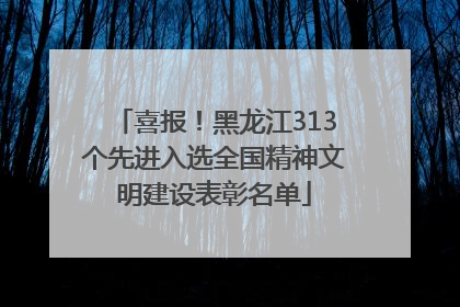 喜报！黑龙江313个先进入选全国精神文明建设表彰名单