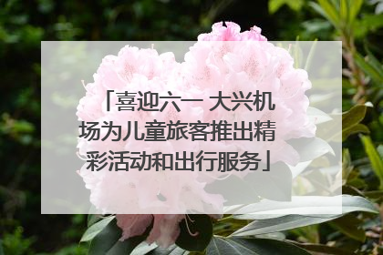 喜迎六一 大兴机场为儿童旅客推出精彩活动和出行服务