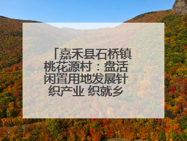 嘉禾县石桥镇桃花源村：盘活闲置用地发展针织产业 织就乡村振兴新图景