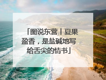 图说东营丨夏果盈香，是盐碱地写给舌尖的情书