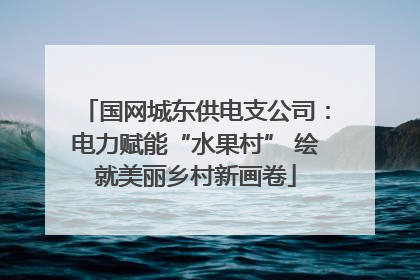 国网城东供电支公司：电力赋能“水果村” 绘就美丽乡村新画卷