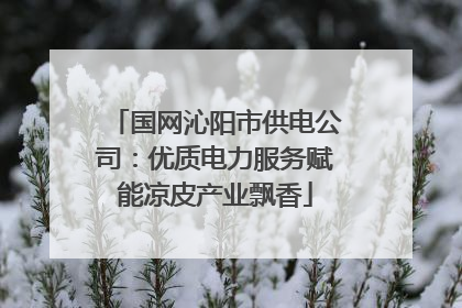 国网沁阳市供电公司：优质电力服务赋能凉皮产业飘香