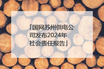 国网苏州供电公司发布2024年社会责任报告