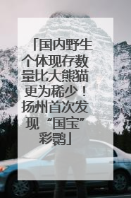 国内野生个体现存数量比大熊猫更为稀少！扬州首次发现“国宝”彩鹮