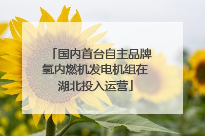 国内首台自主品牌氢内燃机发电机组在湖北投入运营