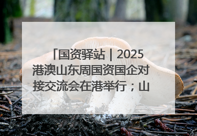 国资驿站｜2025港澳山东周国资国企对接交流会在港举行；山东黄金成功在境外发行3亿美元绿色债券