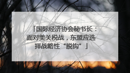 国际经济协会秘书长：面对美关税战，东盟应选择战略性“脱钩”