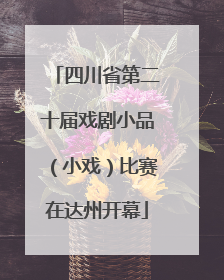 四川省第二十届戏剧小品（小戏）比赛在达州开幕