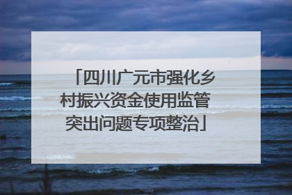 四川广元市强化乡村振兴资金使用监管突出问题专项整治