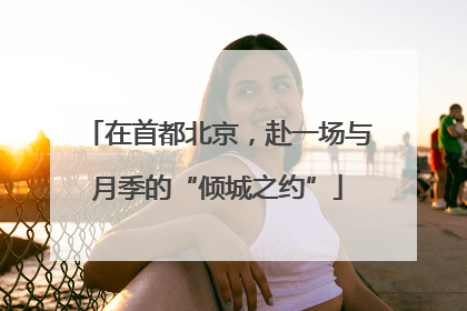 在首都北京，赴一场与月季的“倾城之约”