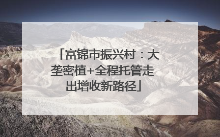 富锦市振兴村：大垄密植+全程托管走出增收新路径