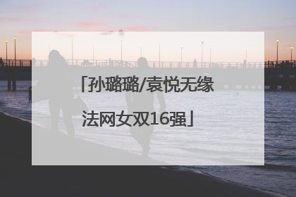 孙璐璐/袁悦无缘法网女双16强