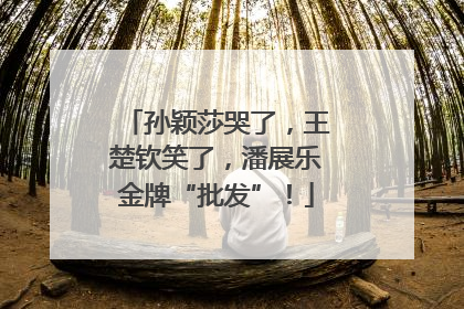 孙颖莎哭了，王楚钦笑了，潘展乐金牌“批发”！