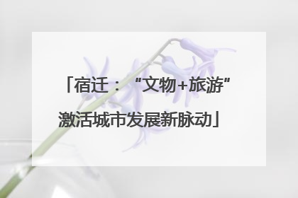 宿迁：“文物+旅游”激活城市发展新脉动