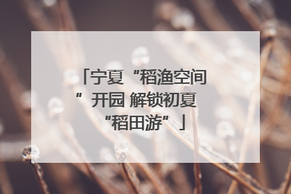 宁夏“稻渔空间”开园 解锁初夏“稻田游”