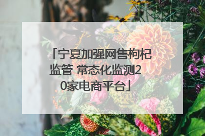 宁夏加强网售枸杞监管 常态化监测20家电商平台