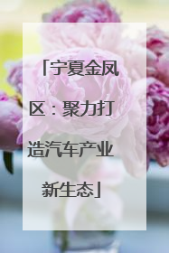 宁夏金凤区：聚力打造汽车产业新生态