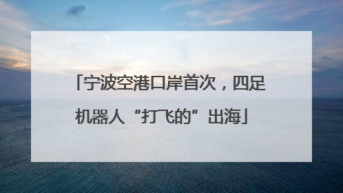 宁波空港口岸首次，四足机器人“打飞的”出海