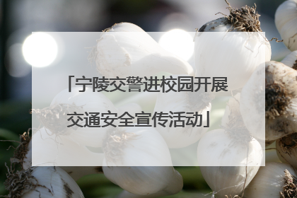 宁陵交警进校园开展交通安全宣传活动