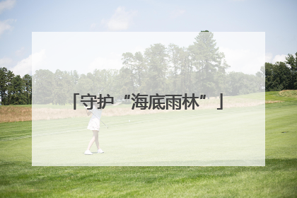 守护“海底雨林”