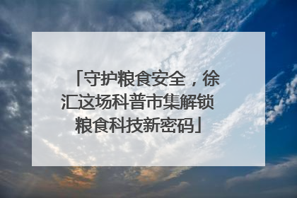 守护粮食安全，徐汇这场科普市集解锁粮食科技新密码
