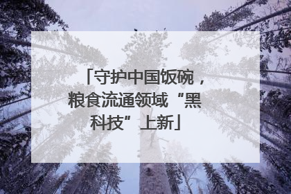 守护中国饭碗，粮食流通领域“黑科技”上新