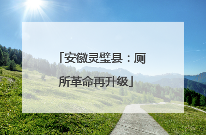 安徽灵璧县：厕所革命再升级