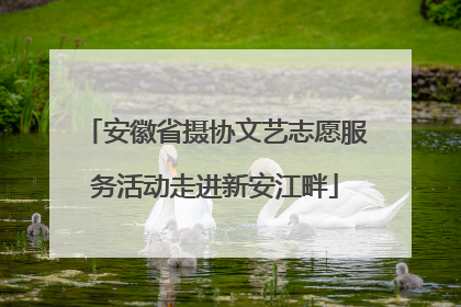 安徽省摄协文艺志愿服务活动走进新安江畔