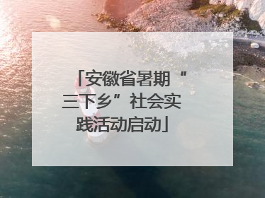 安徽省暑期“三下乡”社会实践活动启动