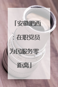 安徽肥西：在职党员为民服务零距离