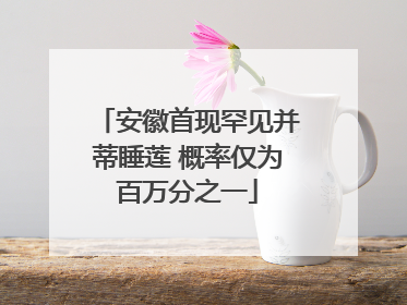 安徽首现罕见并蒂睡莲 概率仅为百万分之一