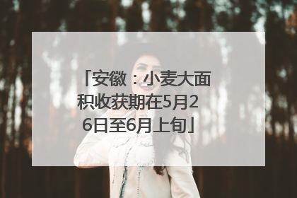 安徽：小麦大面积收获期在5月26日至6月上旬
