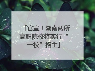 官宣！湖南两所高职院校将实行“一校”招生