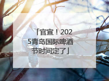 官宣！2025青岛国际啤酒节时间定了